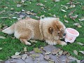 20101031 023